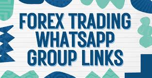 1733466613920743.jpg 54.jpg