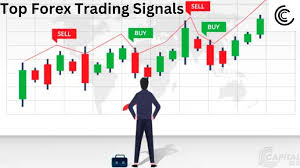 1733477965890366.jpg 61.jpg