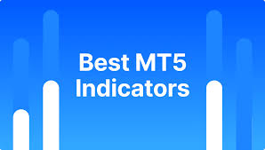 1733537518704117.jpg 77.jpg