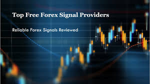 1733557620370418.jpg 9.jpg