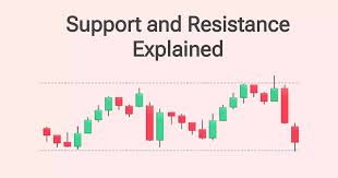 1733575114436306.jpg 8.jpg