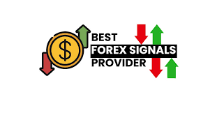 1733625052764053.jpg 8.jpg