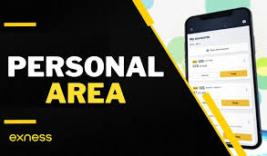 1733631759651384.jpg 8.jpg