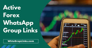 1733660459256619.jpg 8.jpg