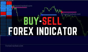 1733745058541263.jpg 10.jpg