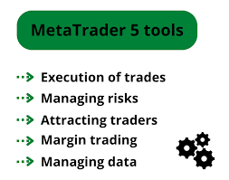 1733748368852819.jpg 10.jpg