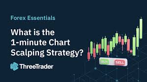 1733796322795558.jpg 10.jpg