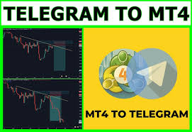 1733810545865879.jpg 11.jpg