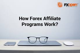 1733832314400832.jpg 5.jpg