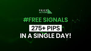 1733835498281210.jpg 7.jpg