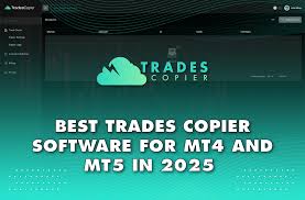 1733841480857413.jpg 7.jpg