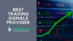 1733896486588564.jpg 7.jpg