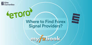 1733896499710012.jpg 8.jpg