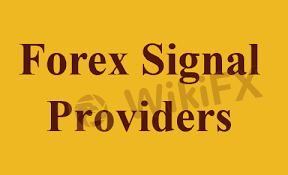 1733896509614052.png 1.png