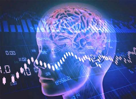 1738988611512610.jpg 11.jpg