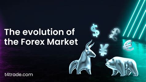 1739416294376590.jpg 14.jpg