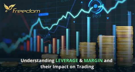 1740448904367989.jpg 8.jpg