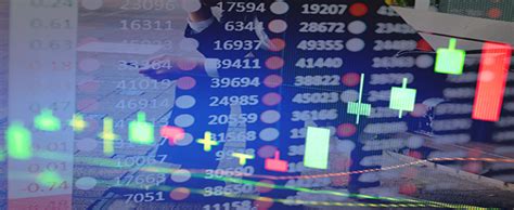 1740535975320539.jpg 13.jpg